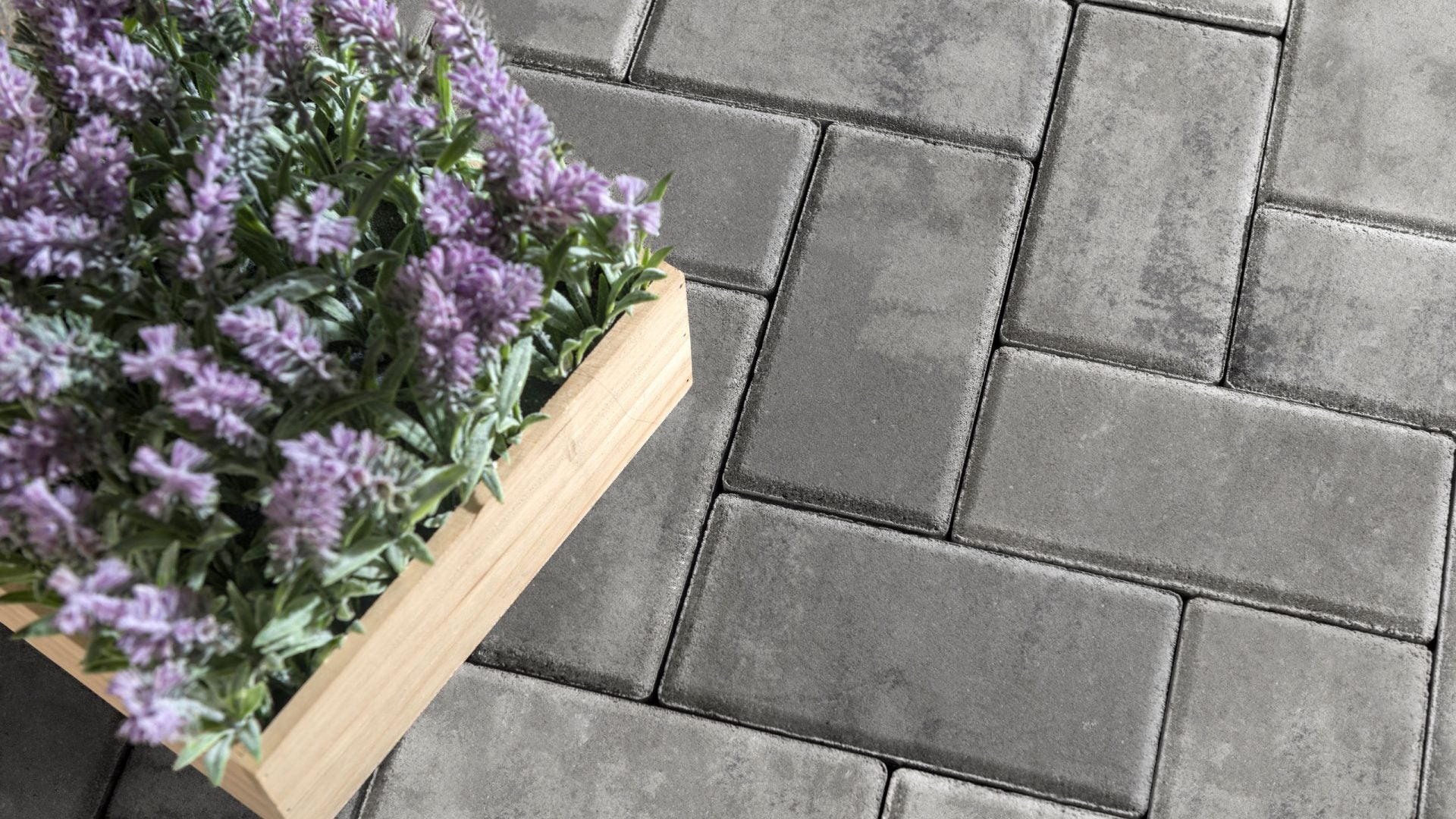 Unilock Holland Premier 4x8 Paver | Delaware Hardscape Supply, LLC