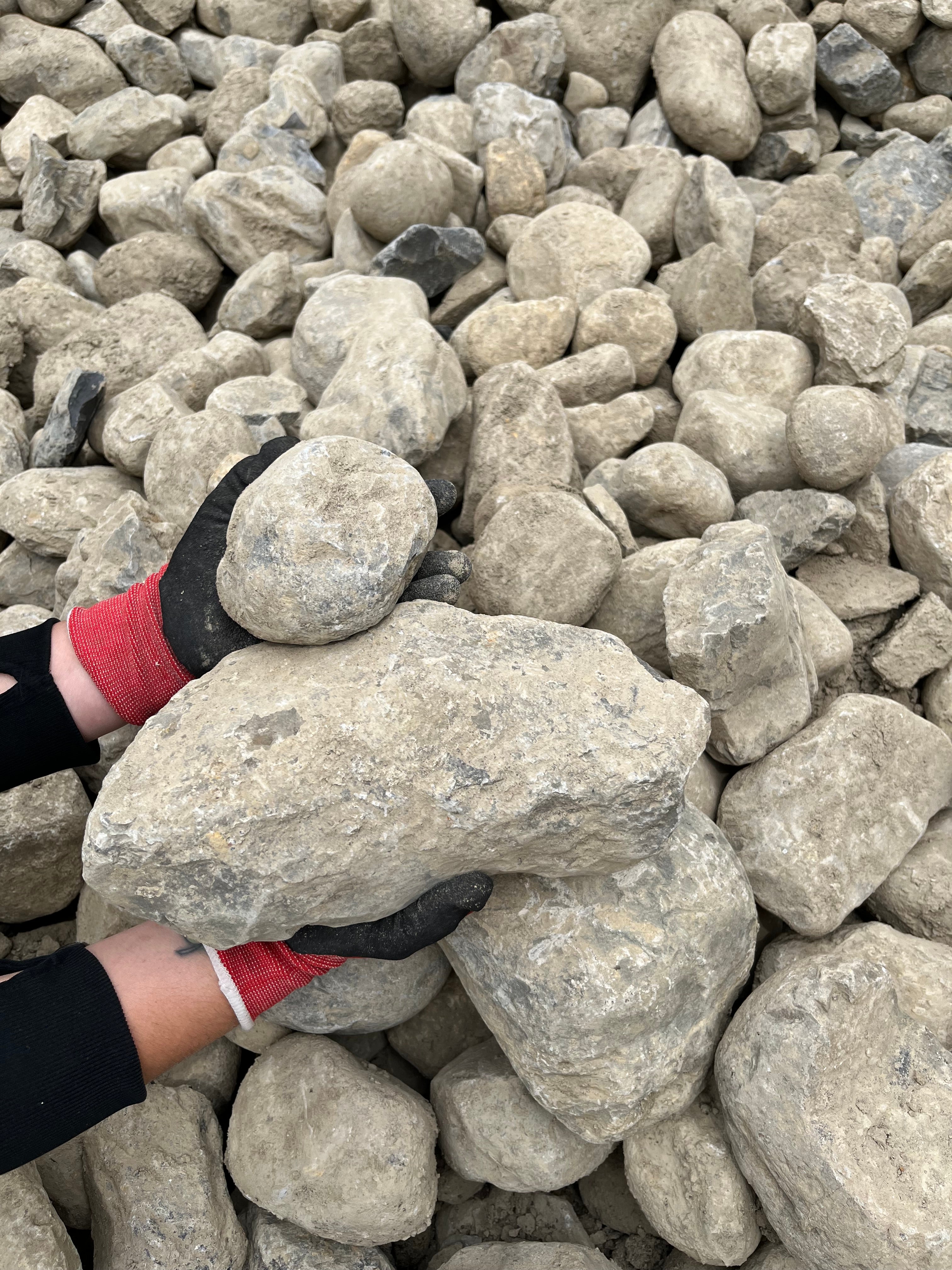 Newark Delaware Rocks River Rock 3