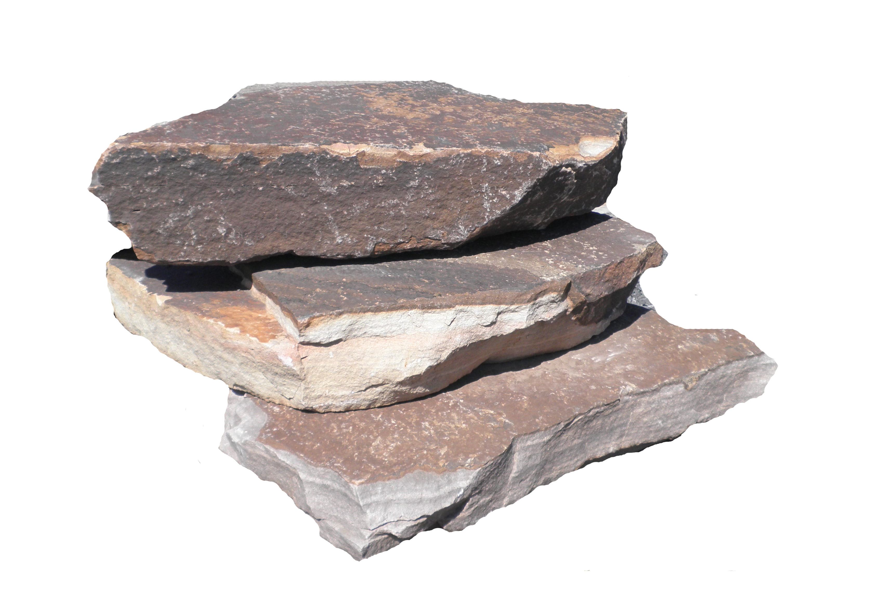 PlatinA Forest 配布デモテープ『Player for dear』 PlatinA Forest 配布デモテープ『Player for dear』 PlatinA Forest